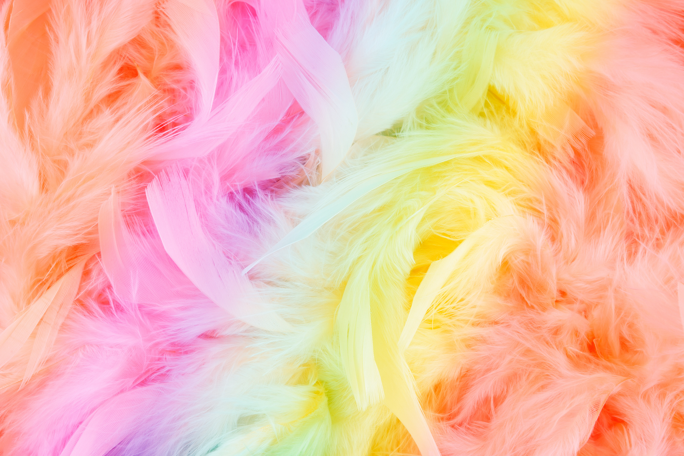 Rainbow feathers background